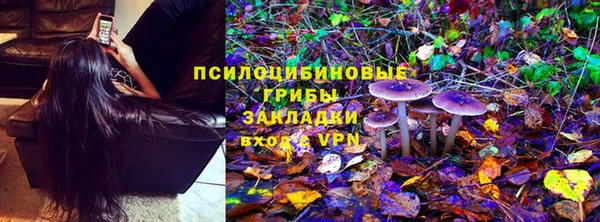 apvp Дмитриев