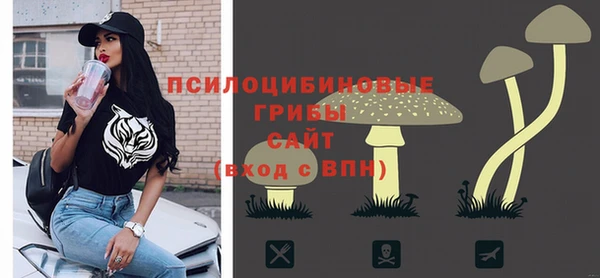 каннабис Новозыбков