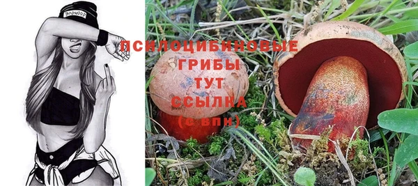меф Нефтегорск
