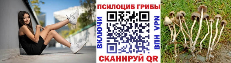 Псилоцибиновые грибы мицелий наркошоп Чёрмоз